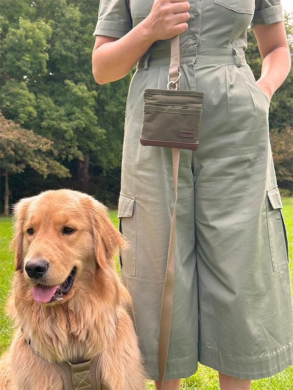 BEAU&FUR Small Large Dog Treat Pouch with Clicker for Training (Green, With Leash)