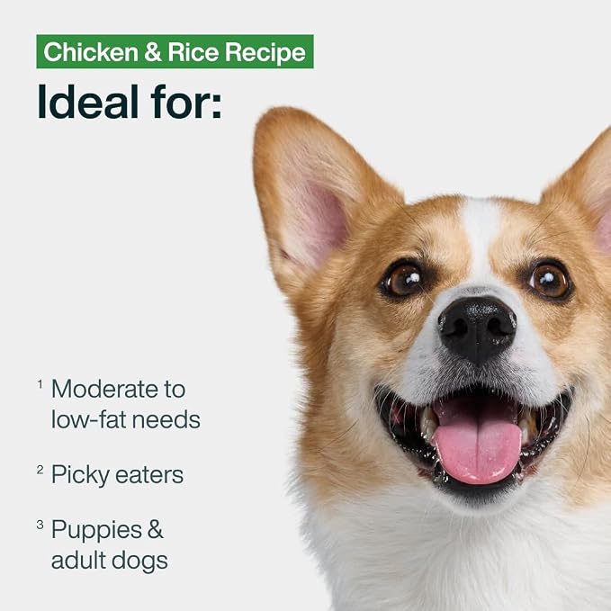 JustFoodForDogs Pantry Fresh Wet Dog Food, Complete Meal or Topper, Chicken & White Rice Human Grade Recipe - 12.5 oz (Pack of 6) | Fresh Pet Meal or Fresh Dog Food Topper, Human Grade Recipe Made With Whole Foods, Preservative-Free, 12.5 Oz Per Pack