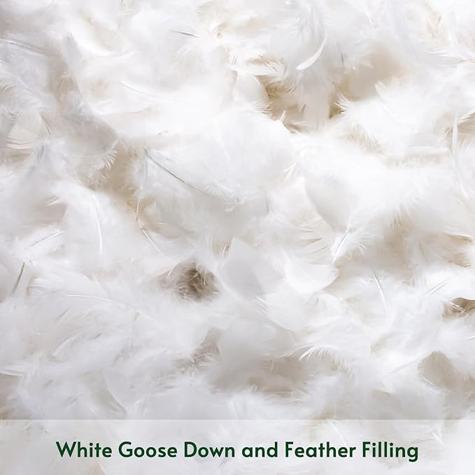 OTOSTAR Pack of 2 Down and Feather Throw Pillow Inserts, 24 x 24 Soft Fluffy Square Pillow Inserts with 100% Cotton Cover Decorative Pillows for Sofa Couch Bed-White