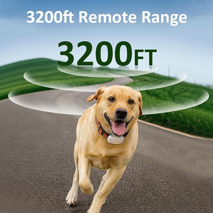 Adjustable Shock Levels Dog Training Collar with 9.8 FT Retractable Leash – Remote E-Collar for 2 Dogs, 3200 FT Range, Color Screen, Beep Vibration Static, IP67 Waterproof, USB-C Rechargeable