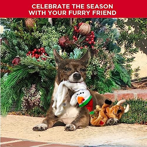 Trenton Gifts Stuffing Free Holiday Dog Toys - Set of 3. Santa, Snowman, Reindeer. Durable and Squeaky Pet Toys for Festive Playtime