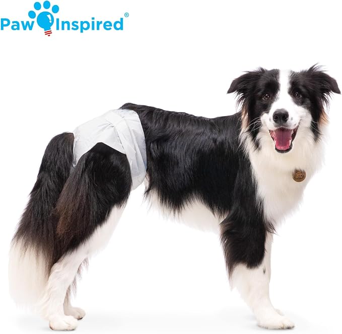 Paw Inspired Disposable Female Dog Diapers, Large Size, 12 Count | Ultra Protection, Adjustable Fasteners, Comfortable Fit, Leakproof Core, For Dogs in Heat, Excitable Urination, Incontinence