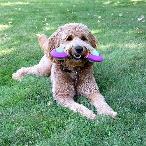 Chew King Premium Throw Stick Dog Toy - Durable Natural Rubber Collection, Fetch and Tug Dog Toy, Pet Treat Toys for Boredom