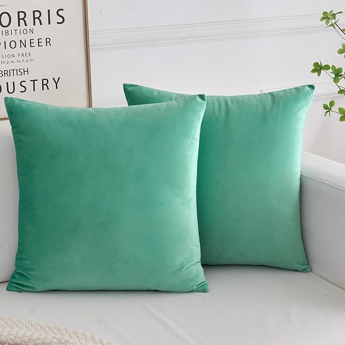 Velvet Decorative Throw Pillow Covers, Soft Square Cushion Case Home Decor for Living Room Couch Bed Sofa, Set of 2 Pack, Aqua Teal, 22x22 Inch