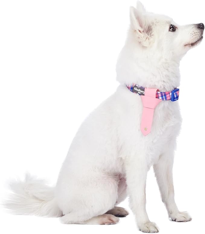 Blueberry Pet 4 Patterns Multiple Hues Scottish Plaid Style Adjustable Tie Dog Collar, Medium, Neck 14.5"-20"