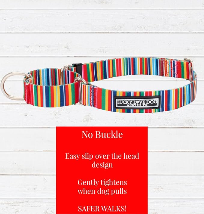 Lucky Love Dog Martingale Collar & Leash Set No Slip Cute – Hippie, Small