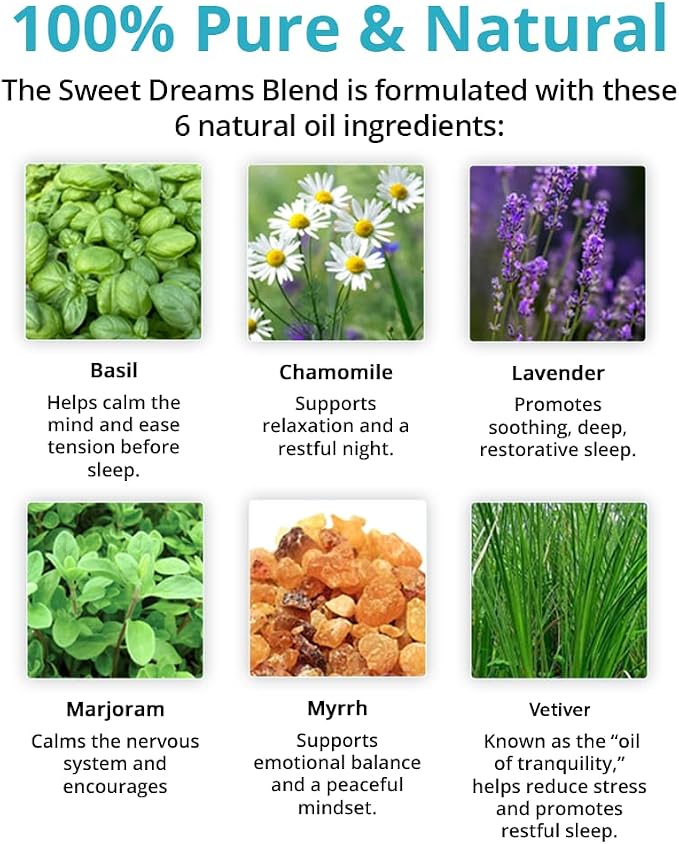 Wild Essentials Sweet Dreams 100% Pure Essential Oil Synergy Blend 10ml, Premium Grade, Use for Sleep, Rest, Relaxation, Nighttime, Made and Bottled in The USA