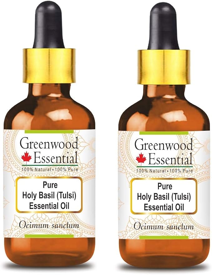 Greenwood Essential Pure Holy Basil Essential Oil (Ocimum Sanctum) with Glass Dropper Steam Distilled (Pack of Two) 100ml X 2 (6.76 oz)