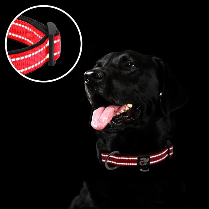 azuza Reflective Dog Collar, Neoprene Padded Medium Dog Collar, Red, M