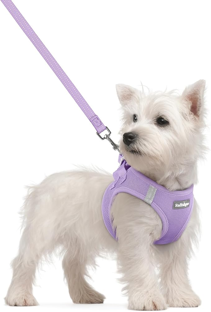 rabbitgoo Dog Harness Small Sized and Leash Set, Step-in Puppy Pet Vest | Light, Soft, Breathable Air Mesh, Easy on and Remove with Hook & Loop, Secure Reflective for Walking, Light Purple S