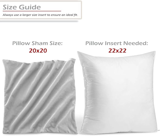 Throw Pillow Inserts Pack of 2 with Velvet Soft Solid Decorative Square Throw Pillow Covers Set for Sofa Couch Car Bedroom, 22X22 Throw Pillows Inserts with 20x20 Washable Cushion Covers, Light Grey