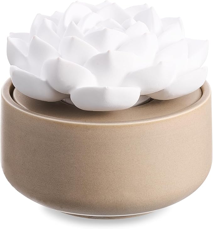 Honeydak 1 Pcs Ceramic Essential Oil Diffuser, Non Electric Reedless Passive Porcelain Flower Aromatherapy Diffuser, Decorative Floral Design Tabletop Office Home Bathroom Decor (Succulent)