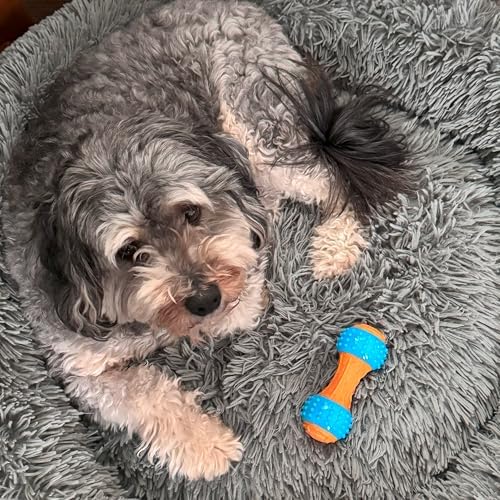 SPOT Bam-Bones Plus Gigglers Dumbbell Durable Dog Chew Toy, for Medium Aggressive Chewers, Bamboo Fiber & Nylon, Dual Texture, Massaging Rubber Ends, Peanut Butter Flavor, 5.5 in