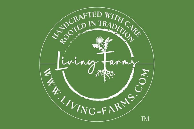 Poke Root & Castor Oil Salve - Cysts, Boils, Fibroids, Swollen Lymph Nodes, Breast & Joint - Vegan Lymphatic Support Massage Balm - Natural Deep Tissue Ointment (2oz)