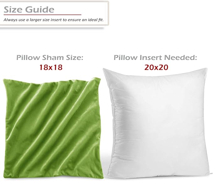 Throw Pillow Inserts Pack of 2 with Velvet Soft Solid Decorative Square Throw Pillow Covers Set for Sofa Couch Car Bedroom, 20X20 Throw Pillows Inserts with 18x18 Washable Cushion Covers, Garden Green