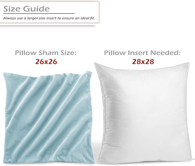 Throw Pillow Inserts Pack of 2 with Velvet Soft Solid Decorative Square Throw Pillow Covers Set for Sofa Couch Car Bedroom, 28X28 Throw Pillows Inserts with 26x26 Washable Cushion Covers, Light Blue