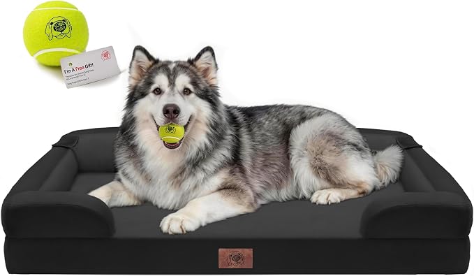 Waterproof Orthopedic Dog Bed for Extra Large Sized Dogs | Memory Foam Pet Bed Sofa with Bolster, Dog Couch with Washable Cover & Non-Slip Bottom, 48x30 Inch, Black