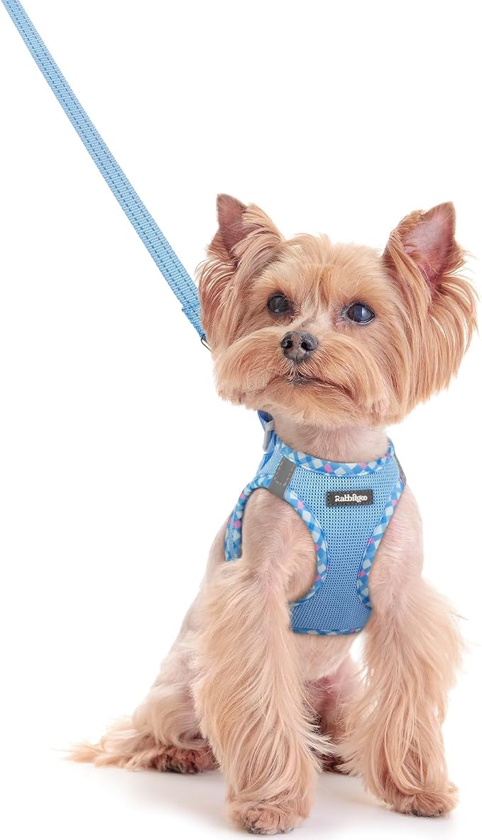 rabbitgoo Dog Harness Small Sized and Leash Set, Step-in Puppy Pet Vest | Light, Soft, Breathable Air Mesh, Easy on and Remove with Hook & Loop, Secure Reflective for Walking, Blue & Plaid Trim XXS