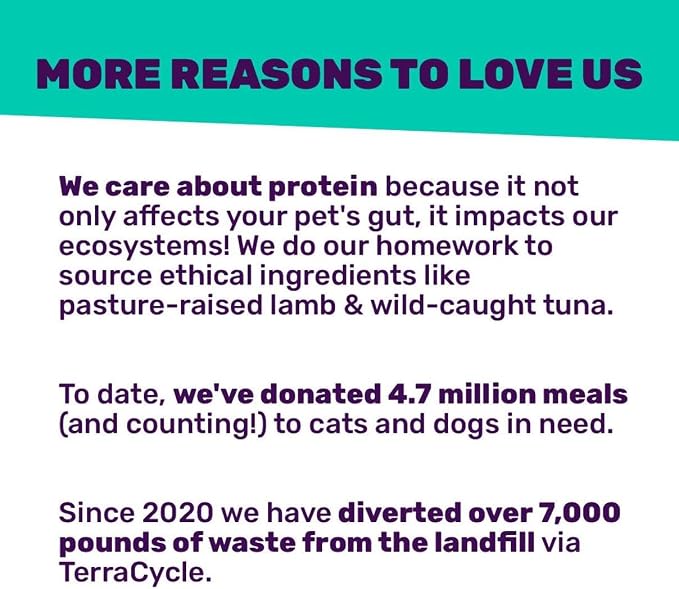 I and love and you Wet Cat Food - Savory Salmon Pâté - Salmon Recipe, Grain Free, Filler Free, 3oz Pack of 24 Cans