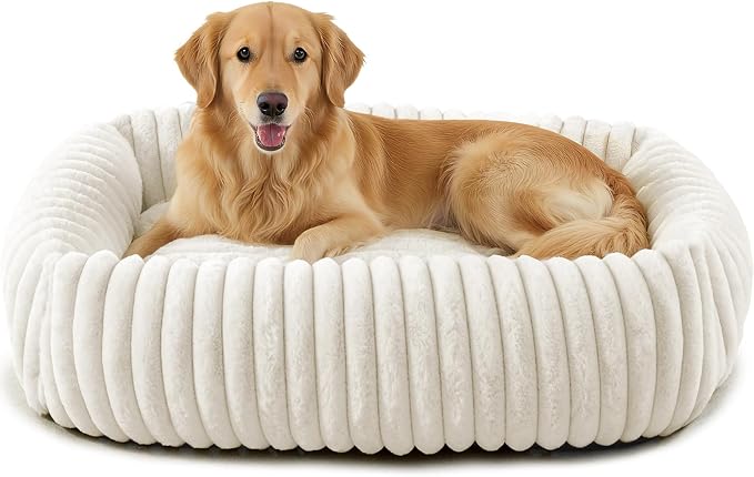 FURTIME Dog Bed Medium Size Dog, Washable Orthopedic Pet Bed with Removable Cover, Rectangle Soft Calming Sleeping Puppy Bed Durable Pet Cuddler with Anti-Slip Bottom, Cream, M Plus (30"x24"x8")