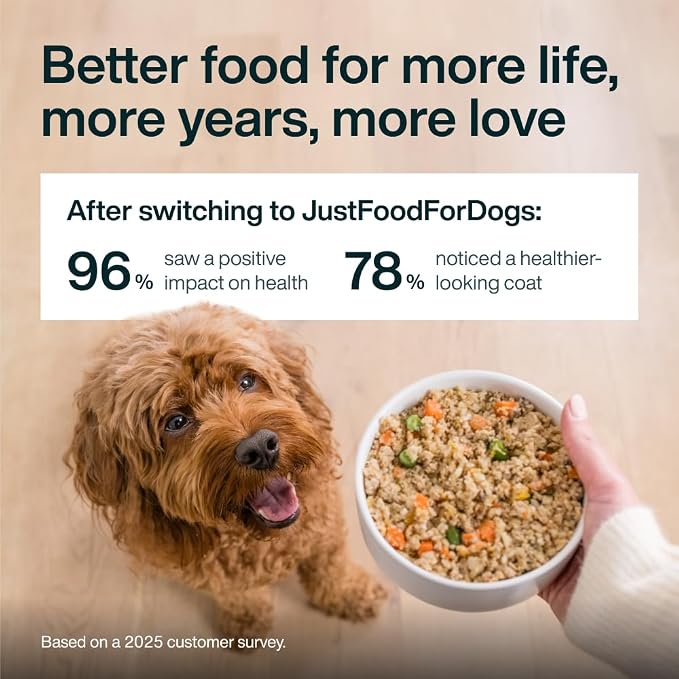 JustFoodForDogs Pantry Fresh Wet Dog Food, Complete Meal or Topper, Chicken & White Rice Human Grade Recipe - 12.5 oz (Pack of 6) | Fresh Pet Meal or Fresh Dog Food Topper, Human Grade Recipe Made With Whole Foods, Preservative-Free, 12.5 Oz Per Pack