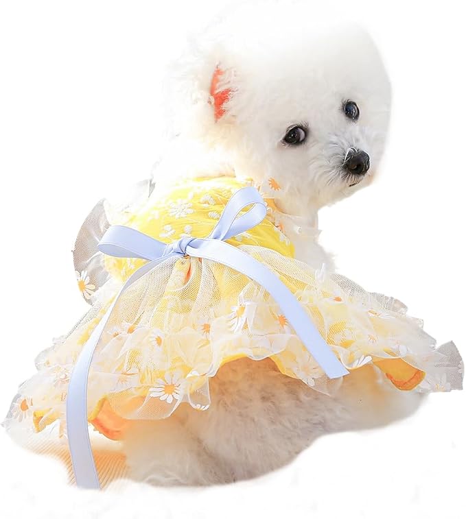 Dog Lace Dress Cat Suspender Skirt (Summer Daisy Suspender Skirt,XS) | Summer Autumn Small & Medium Pet Party Dress For Yorkie Maltese Chihuahua Pug Shih Tzu Toy Poodle French Bulldog