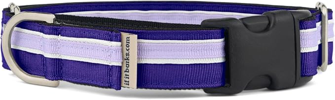 If It Barks 1" Martingale Collar with Quick Snap Release Buckle, Adjustable, USA Made, Large, Grape Crush