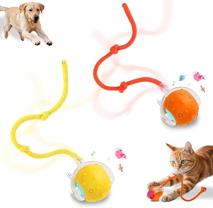 Interactive Cat Toys Smart Ball for Cats & Dogs! Now with 2 Rapid Tails. Features: 360°Auto-Rolling, Motion Activation& Bird Sounds. Perfect for Indoor Pet Exercise & Fun. (Yellow＆Orange)