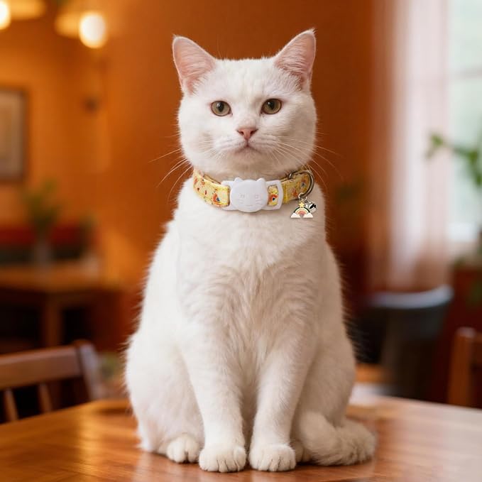 Cat Collars for Girl Cats & Boys, 2 Pack Soft Cotton Breakaway Collar with Removable Bell and Cute Charms, Adjustable Safety Pet Necklace, Rainbow