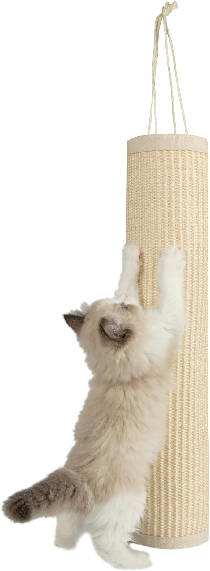 Best Pet Supplies Catify Hanging Cat Scratcher - Log, Beige | Cat Door Scratcher, Scratching Mat, Heavy Duty Sisal, Furniture Protector, Safe for Paws, Non-Slip, Durable, Multi-Functional