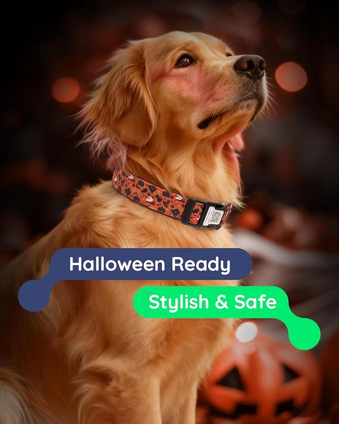 Dog Collar for Small Dogs with Smart QR Tags