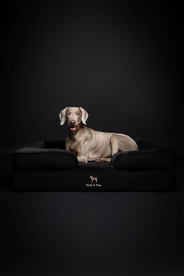 NOAH & PAW XL Dog Bed, 45x35x11 Inch, Orthopedic Large Dog Beds, Eggshell Memory Foam Infused with Cooling Gel, Inner Cover, Water Resistant, Machine Washable (Denim Sofa Collection)