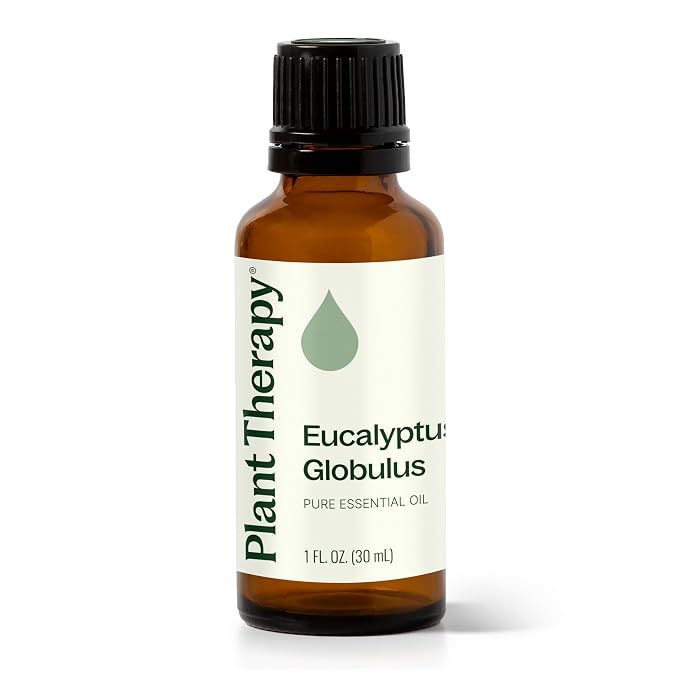 Plant Therapy Eucalyptus Globulus Essential Oil, 30 mL (1 oz), for Diffuser, Skin, Hair, Aromatherapy DIYs, and Clear Breathing, 100% Pure and Undiluted Essential Oil