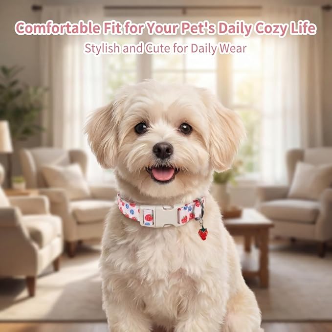 Girl Dog Collar, Cute Dog Collar for Medium Dogs with Cute Strawberry, Cherry and Blueberry Print, Pink Collar for Dogs with Quick-Release Buckle and Robust D Ring, M