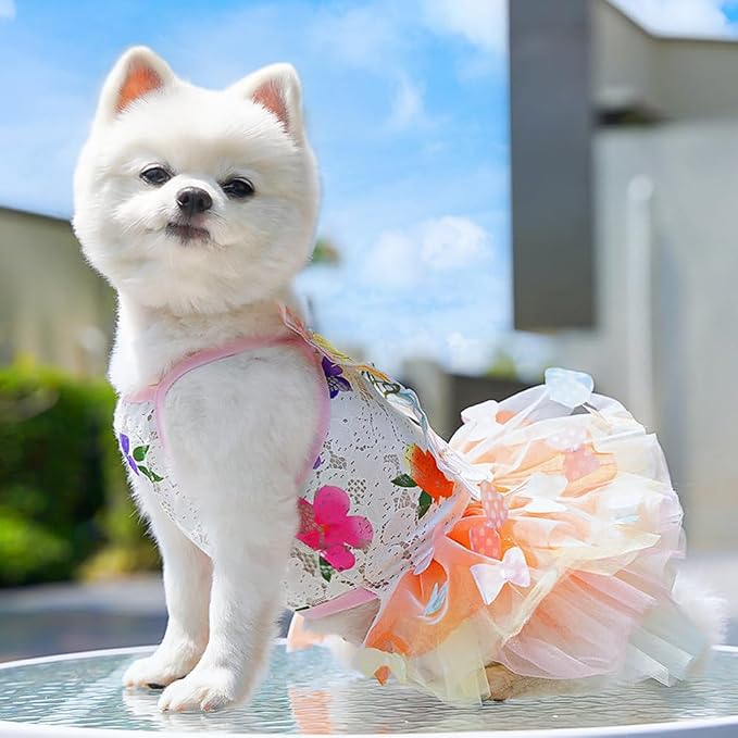 Dog Rainbow Butterfly Princess Dress Summer Thin,XL | Cute Pet Cat Clothes For Yorkie Chihuahua Poodle Pomeranian French Bulldog Dachshund Teddy Dress Pet Supplies