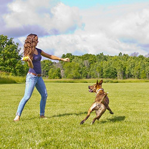 Hyper Pet Hyper Squawkers Dog Bone Durable Dog Toy, TPR and Nylon, Medium