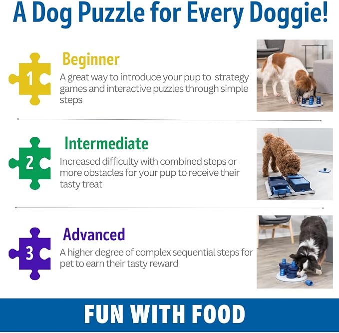 TRIXIE Poker Box 2 Dog Activity Interactive Toy, Level 3 Food Puzzle Game, Brain Teasing Treat Dispenser, IQ and Mental Development Toy for Smart Dogs, Enrichment Toy for Boredom Busting