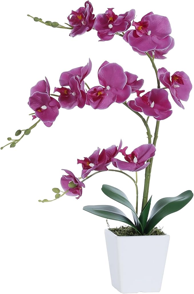 22" Fuchsia Faux Orchid in Ceramic Vase for Table Décor | Real Look Potted Phalaenopsis, Ideal Centerpiece for Home, Office, or Indoor Display, Lifelike Silk Flowers, No Maintenance