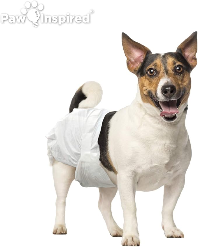 Paw Inspired Disposable Dog Diapers | Female Dog Diapers Ultra Protection | Diapers for Dogs in Heat, Excitable Urination, or Incontinence (144 Count, Medium) | Ultra Protection, Adjustable Fasteners, Comfortable Fit, Leakproof Core, For Dogs in Heat, ...