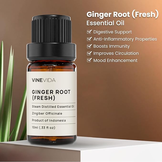 VINEVIDA Fresh Ginger Root Essential Oil 10 mL - Undiluted Candle Scent DIY Scents for Candlemaking Soap Making
