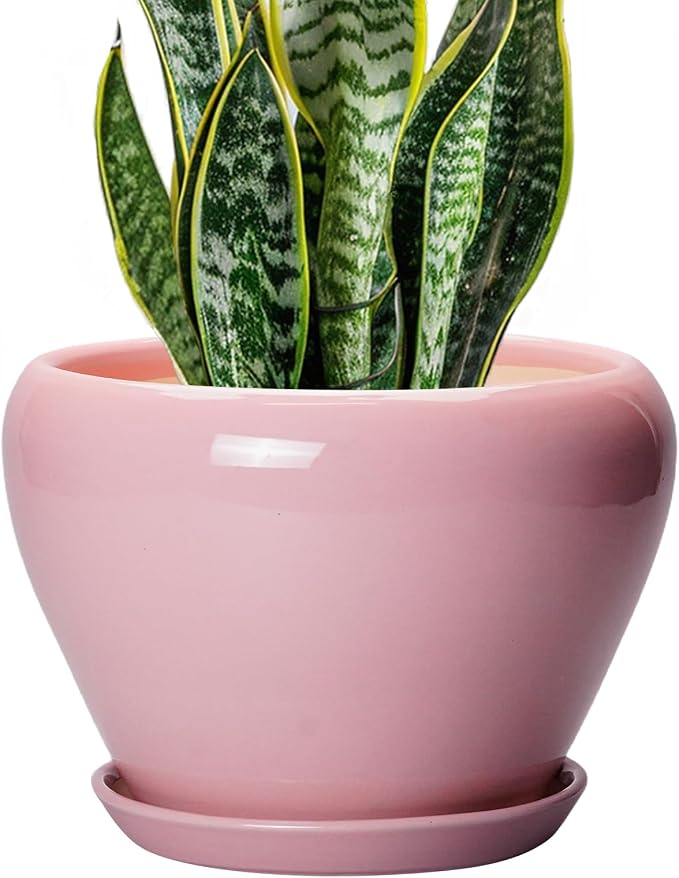 Ceramicfor Ceramic Modern Glaze Succulent Planter Pot with Drainage Hole and Saucer 8 Inch Round Flower Plant Pot for Indoor Outdoor Herb Snake Plants, Pink