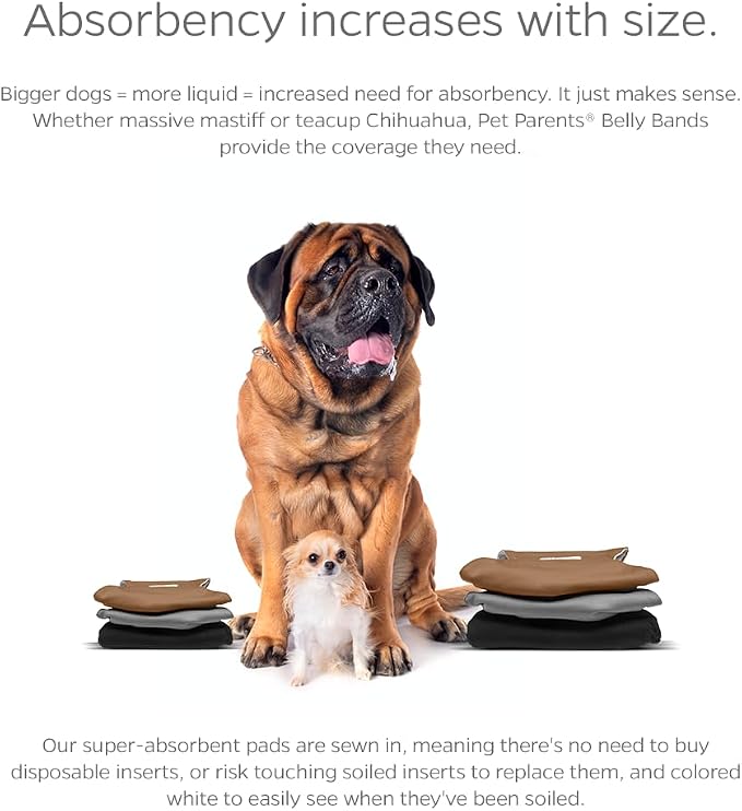 Pet Parents® Washable Belly Bands for Dogs (3pack) + Extendrs® Durable Dog Diapers - Premium Male Dog Diapers & Wraps (X-Small, Natural)