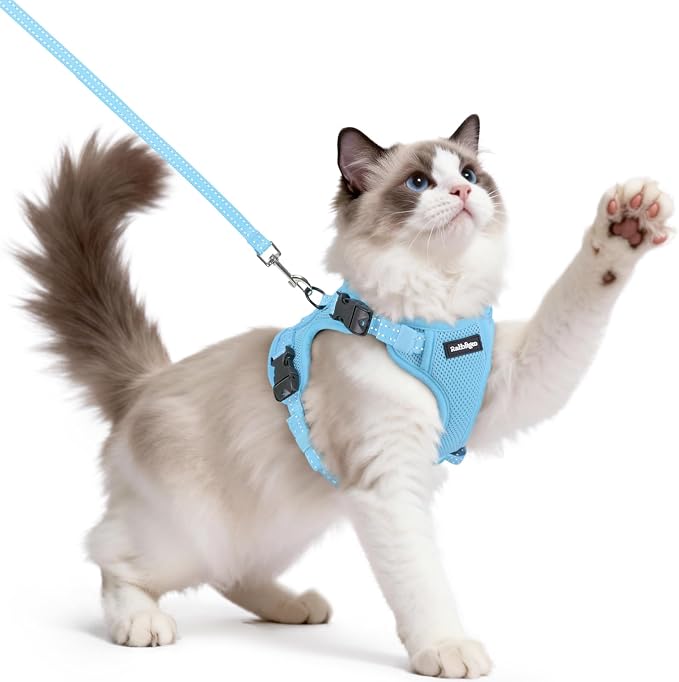 rabbitgoo Cat Harness and Leash, Easy-on with Neck Buckle, Sky Blue