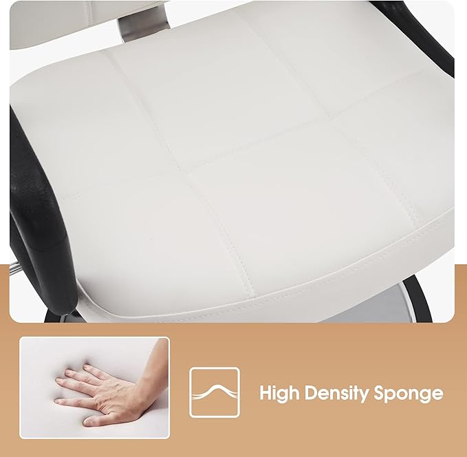 BarberPub Reclining Hydraulic Barber Chair Salon Beauty Spa Shampoo Equipment 2059 (White)