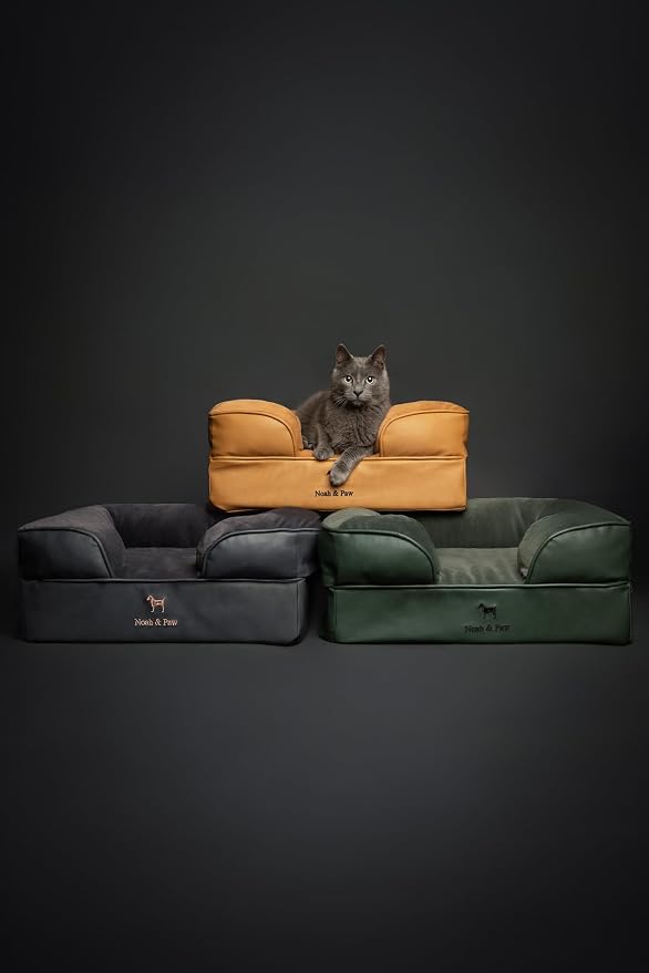 NOAH & PAW Small Dog Bed, 20x15x8 Inch, Cat Bed for Indoor Cats, Orthopedic Eggshell Memory Foam Infused with Cooling Gel, Water Resistant Inner Cover Machine Washable (Faux Leather)