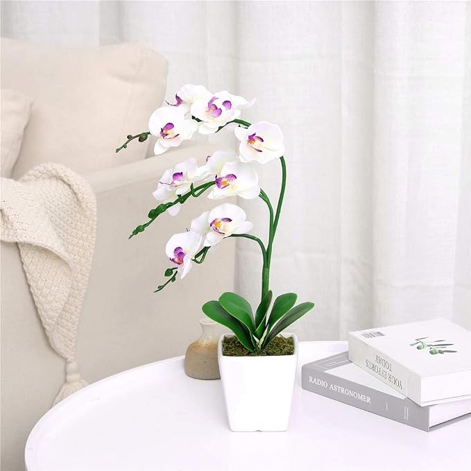 15" Silk Phalaenopsis Orchid in Square Pot, White Flower Plant Arrangements | Lifelike Faux Potted Blooms with Moss in a Ceramic Planter. Looks Real, Zero Upkeep, Ideal Centerpiece for Any Table