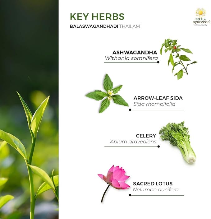 Kerala Ayurveda Balaswagandhadi Thailam - Ayurvedic Massage Oil for Body with Ashwagandha - Balances Vata and Pitta, Calms Mind, Nourishes Body & Tones Muscles, 6.76 Fl Oz