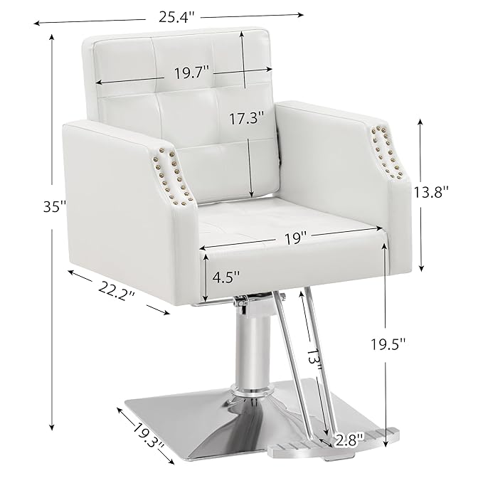 BarberPub Classic Salon Chair for Hair Stylist,Hydraulic Barber Styling Chair,Beauty Salon Spa Equipment 8818 (White)