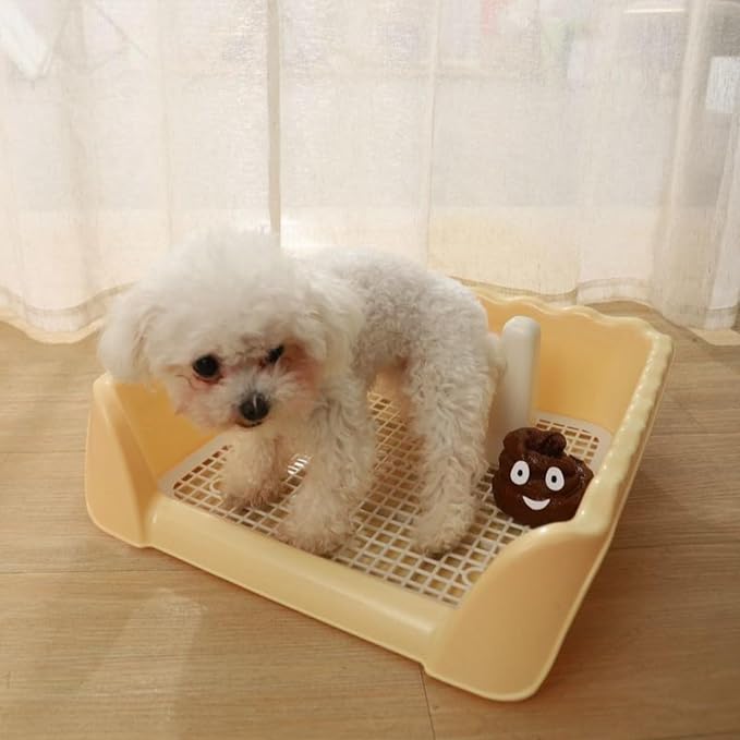 Indoor Outdoor Dog Potty Training Tray, Reusable Puppy Litter Box for Small & Medium Puppies, Pet Potty Pad Holder Toilet for Puppy Training 14.57''LX4.53''HX13.78''W (Grey)