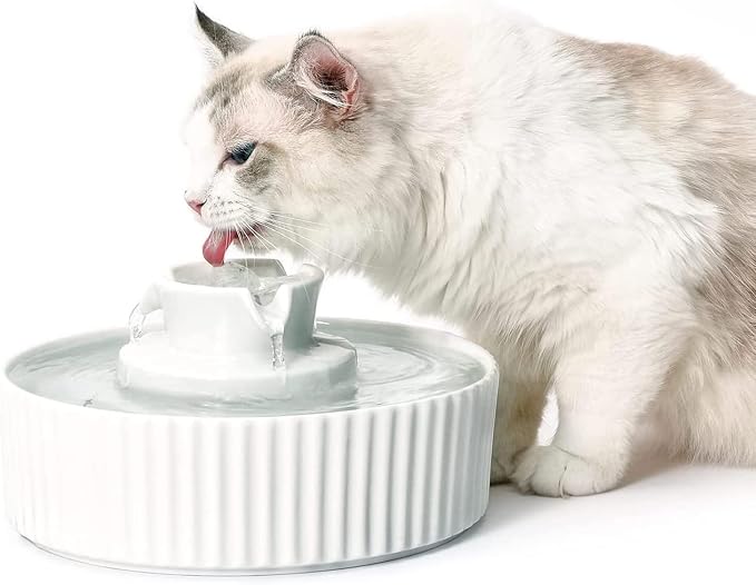 2.1L Ceramic Cat Water Fountain-for Cats and Dogs, 360 Ceramic Pet Fountain-70 Oz Large Water Capacity - Whisper-Quiet Water Flow-Great for Shy or Timid Pets - Fresh, Filtered Water（White）